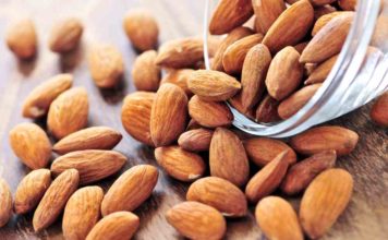 Can Dogs Eat Almonds? And Can Dogs Eat Almond Butter? Can Dogs Eat Almonds And Can Dogs Eat Almond Butter