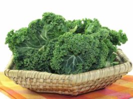 Can Dogs Eat Kale? Or Is Kale For Dogs Bad? Can Dogs Eat Kale Or Is Kale For Dogs Bad