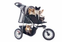 Best Dog Stroller Reviews – (2019’s Top 5 Picks) Dog Stroller