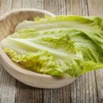 Can Dogs Eat Lettuce And Is Lettuce Good For Dogs