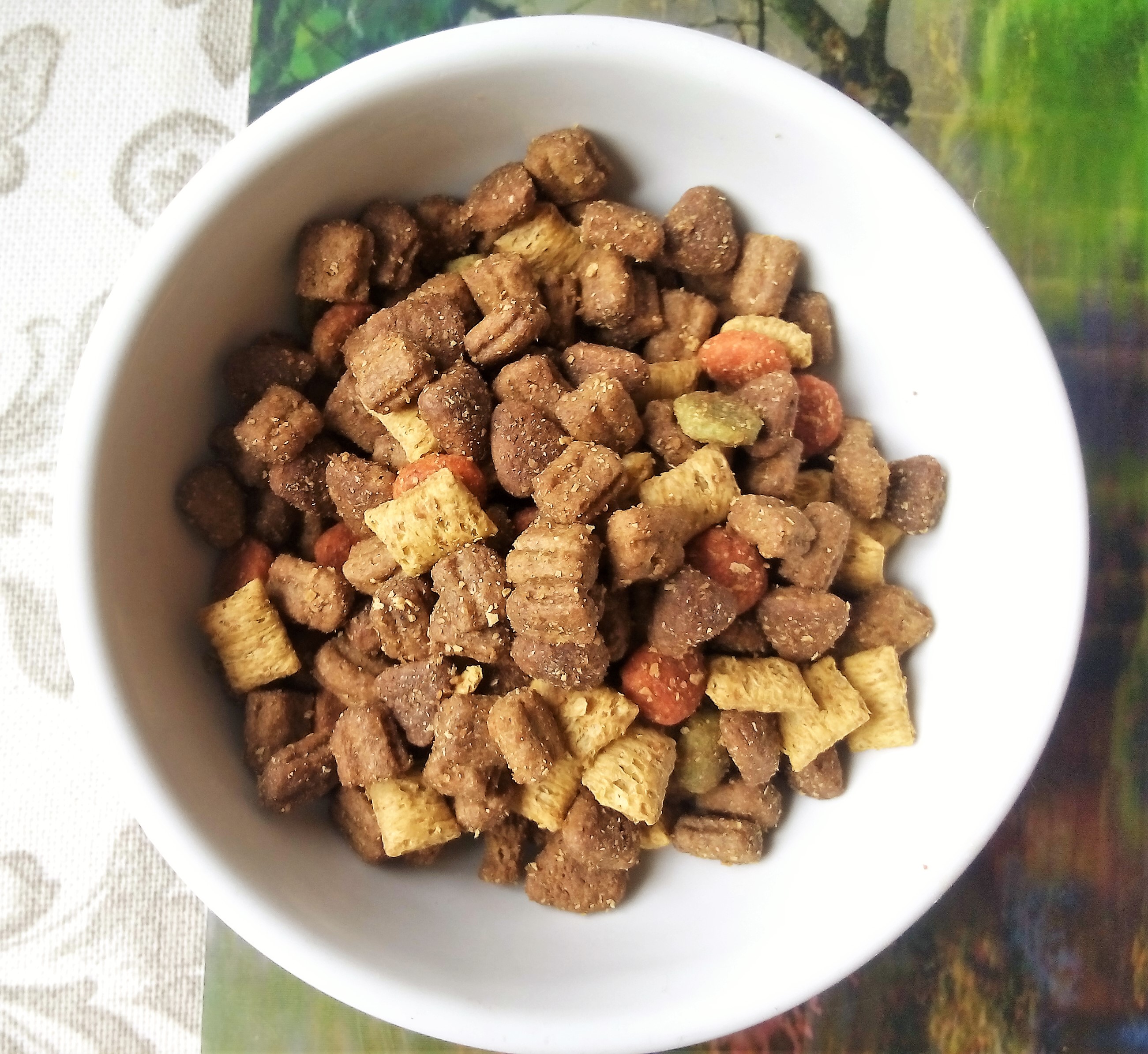 bowl of dog food