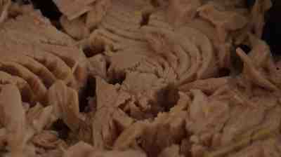 can dogs eat tuna fish