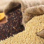 Can Dogs Eat Quinoa? Can Dogs Eat Quinoa