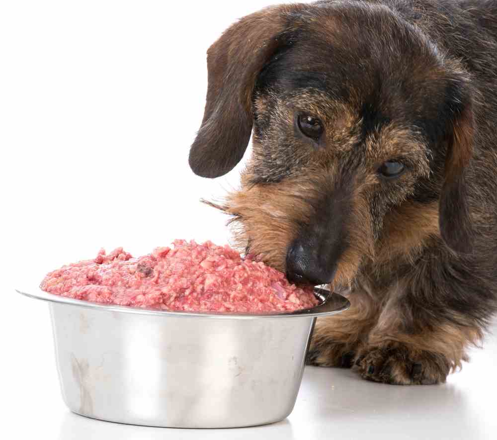 BARF Raw Food Diet For Dogs