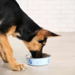 Orijen Dog Food Reviews & Recalls