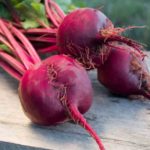 Your Guide To Feeding Dogs Beets: Is It Really Okay? Can Dogs Eat Beets And Are Beets Good For Dogs