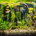 Aquarium Gravel Cleaners
