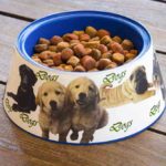 Best Automatic Pet Feeder Reviews For Cats & Dogs