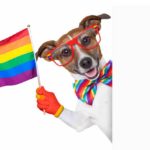 Can Dogs Be Gay Do Gay Dogs Really Exist