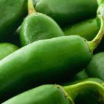 Can Dogs Eat Jalapenos