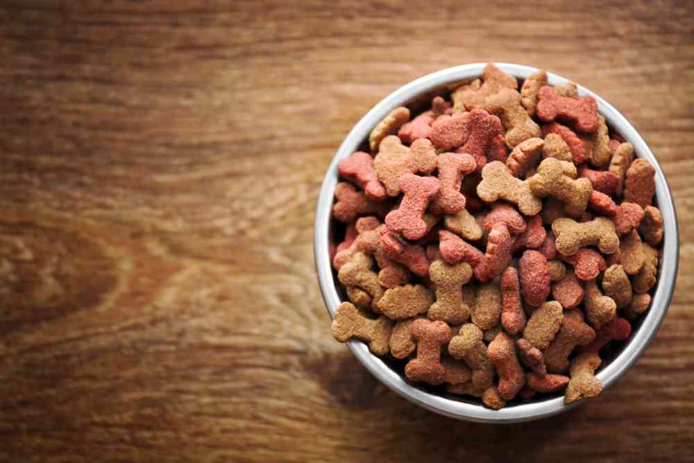 Best Venison Dog Food