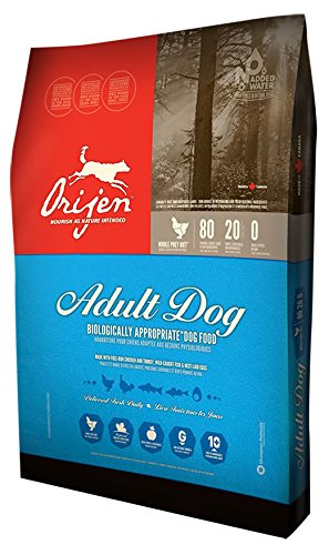 Orijen Adult Dry Dog Food