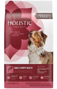 Holistic Select Natural Dry Senior Dog Food Holistic Select Natural Dry Senior Dog Food