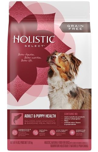 Holistic Select Natural Dry Senior Dog Food Holistic Select Natural Dry Senior Dog Food