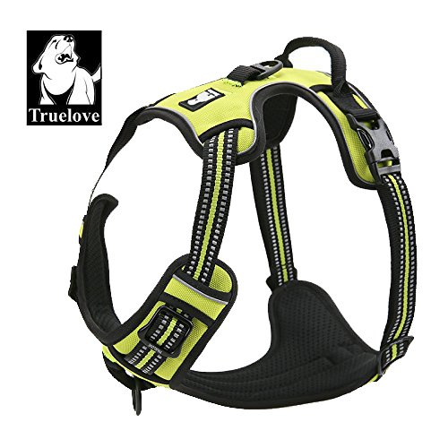 EXPAWLORER Front Range Dog Harness