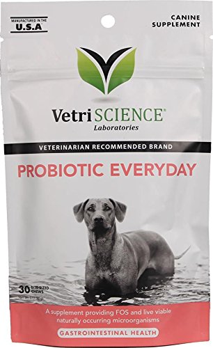 VetriScience Laboratories Probiotic Everyday for Dogs