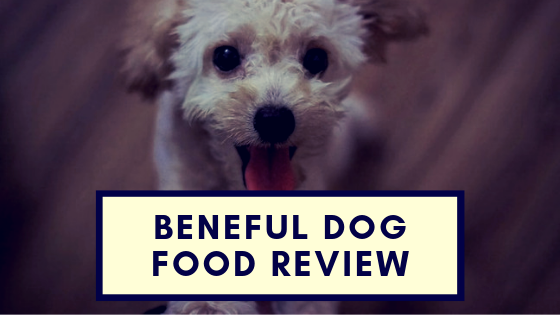 Beneful Dog Food Review