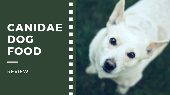 Canidae Dog Food