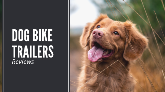 Dog Bike Trailers