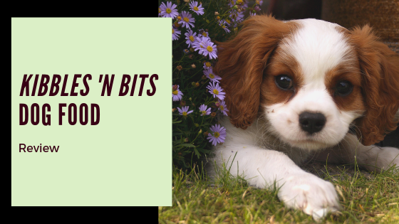 Kibbles n Bits Dog Food