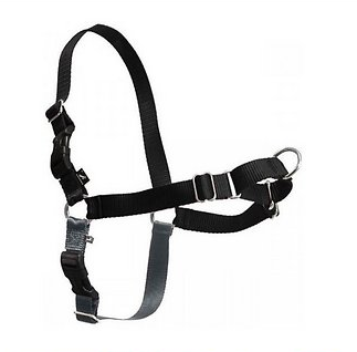 PetSafe Easy Walk Dog Harness