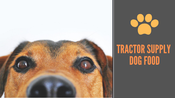 Tractor Supply Dog Food
