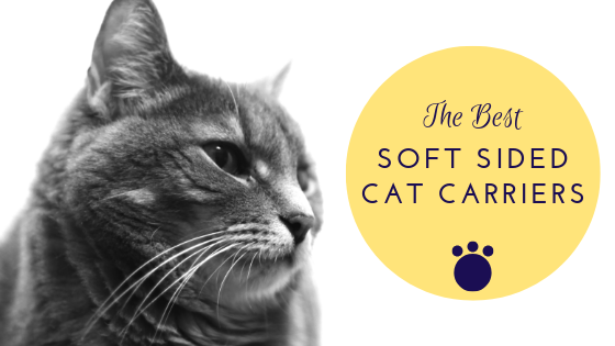 best soft sided cat carriers