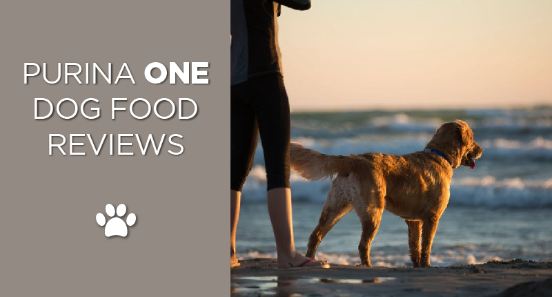 purina one dog food-01