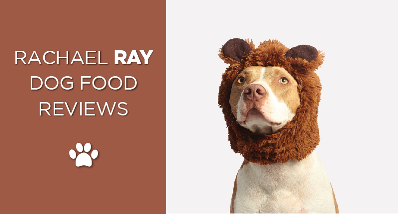 rachael ray review-01