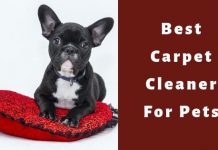 Looking For The Best Carpet Cleaner For The Toughest Pet Stains? – You’ve Come To The Right Place best carpet cleaner for pets